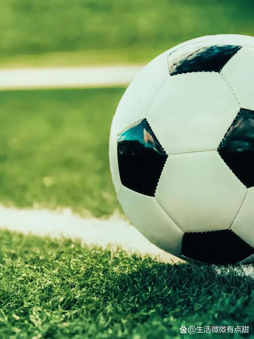 体育记者用户评价