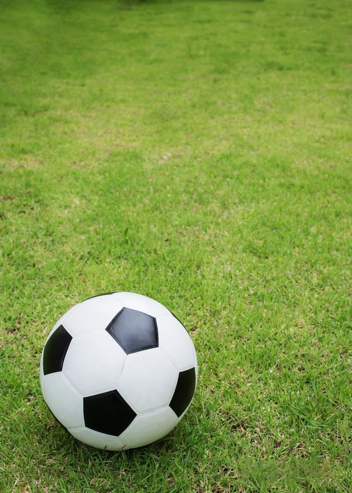 资深球迷用户评价